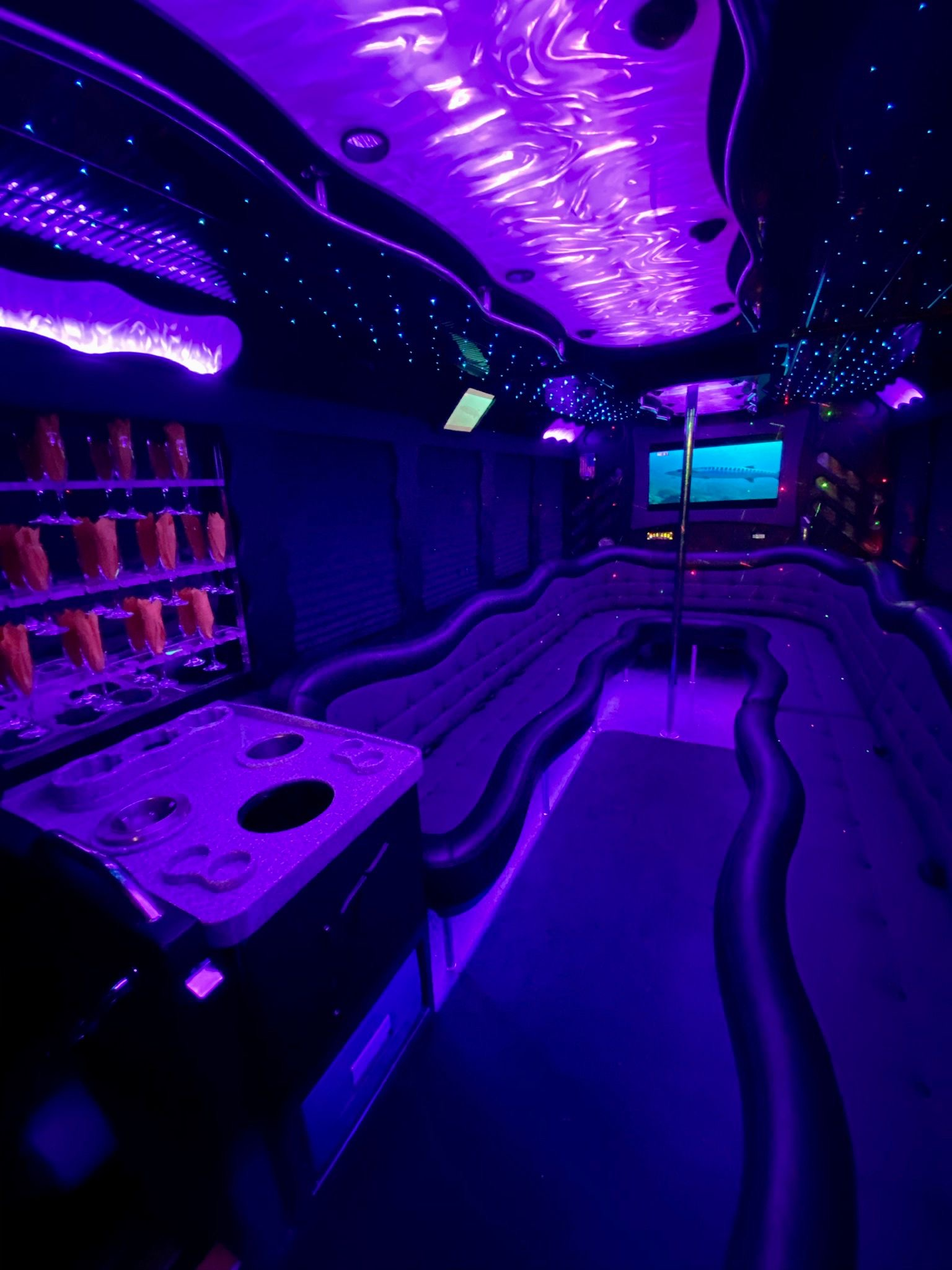 20 Passenger Party Bus
