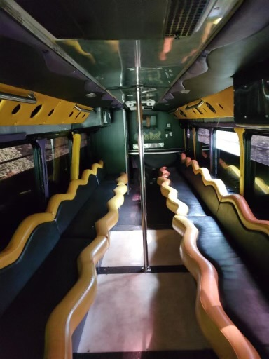45 Passenger Party Bus