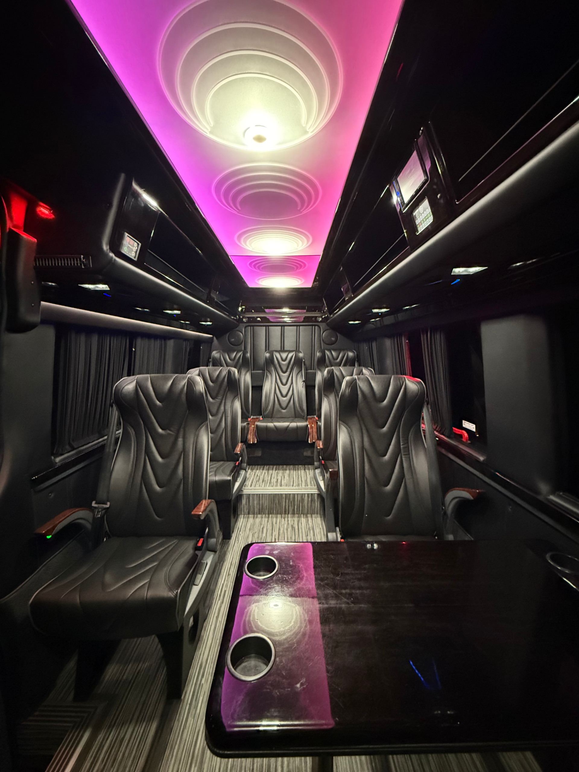 10 Passenger Luxury Sprinter